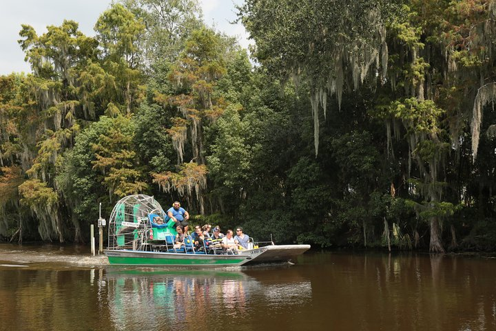 Travelers cruise through a cypress swamp on a flat-bottomed airboat.